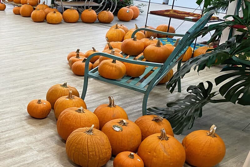 Bell's Nursery and Gifts