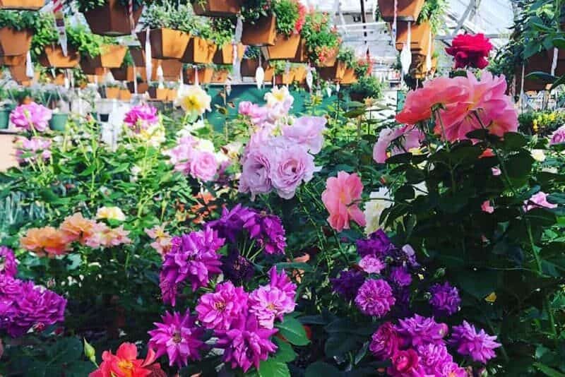 Bell's Nursery and Gifts