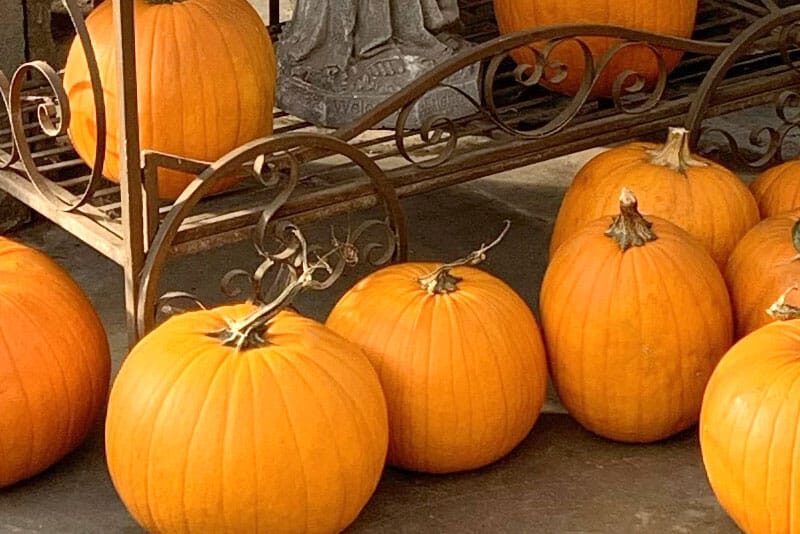 index_carousel_halloween_2025_img1