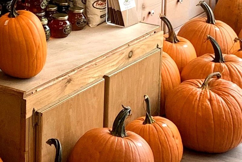 index_carousel_halloween_2025_img4