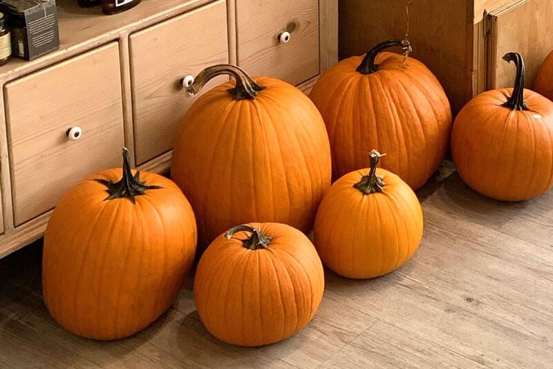 index_carousel_halloween_2025_img5