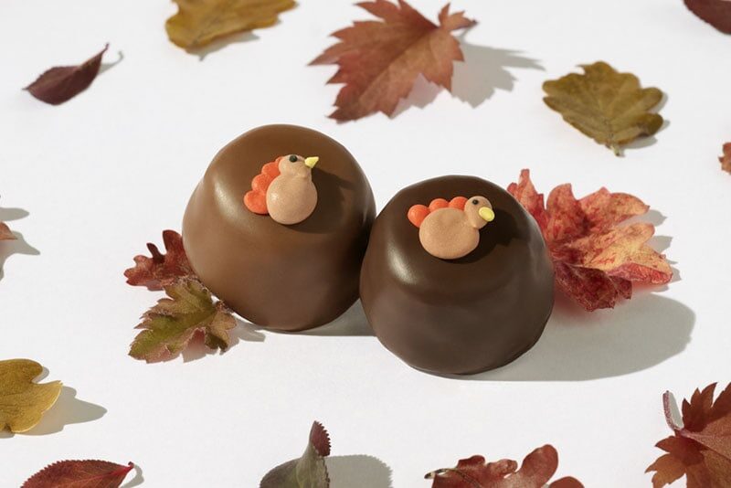 index_carousel_sees-thanksgiving2025_pic1